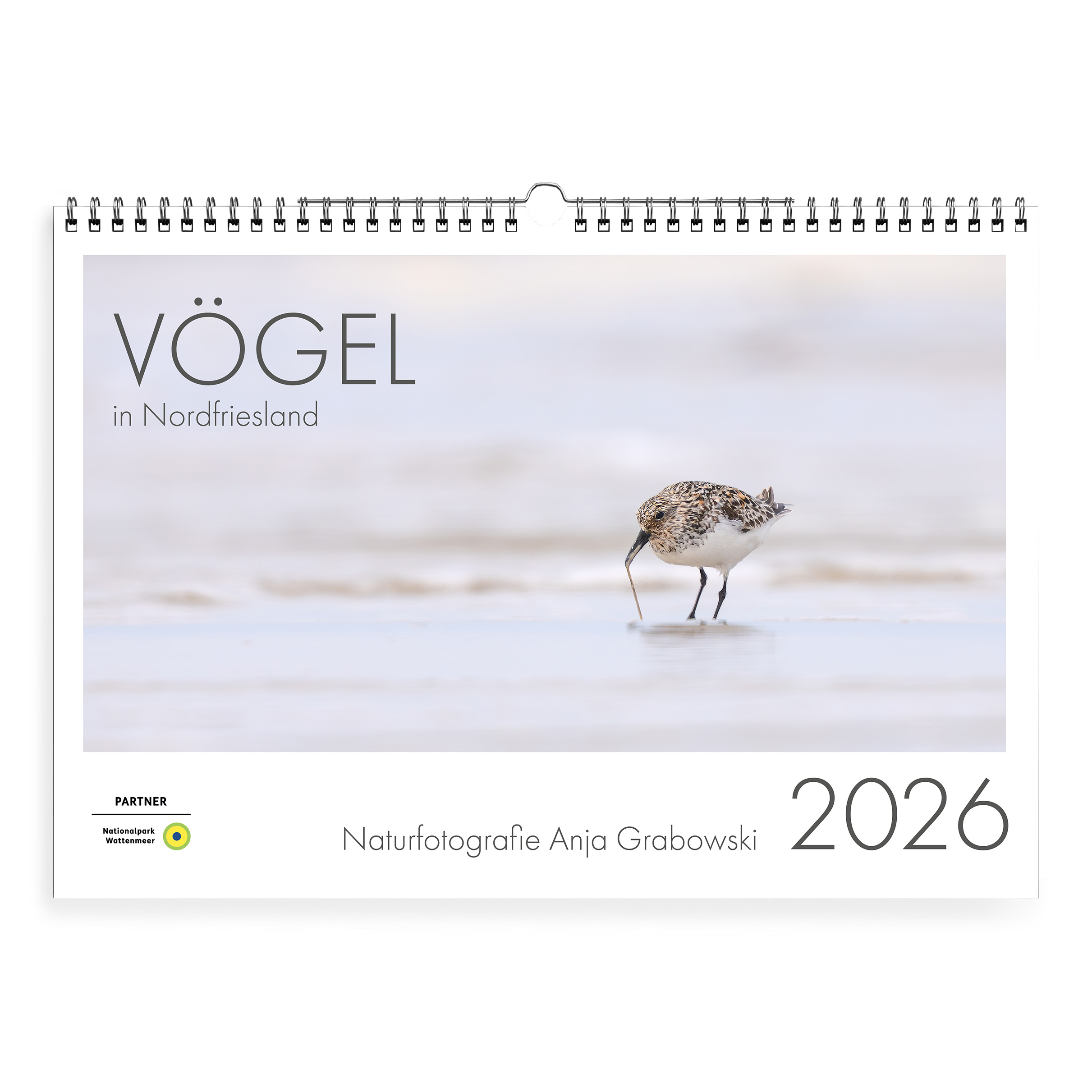 Kalender 2025 Vögel in Nordfriesland - Januar