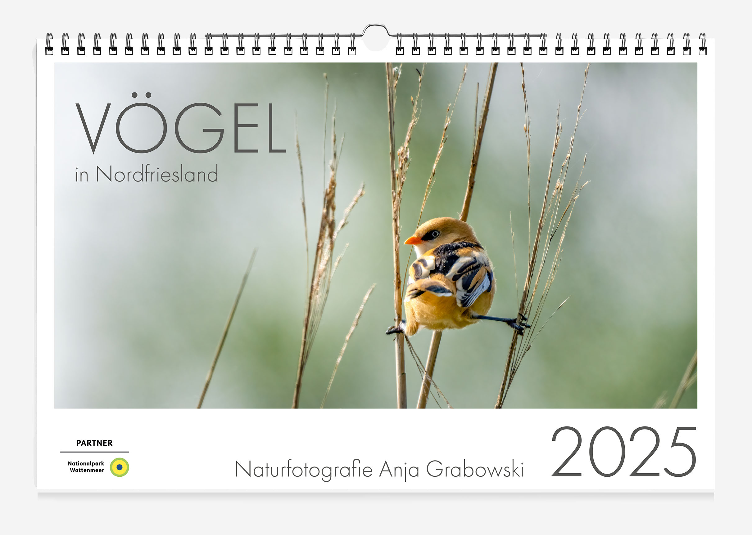 Kalender Vögel in Nordfriesland 2025 Kalender Vögel in Nordfriesland 2025