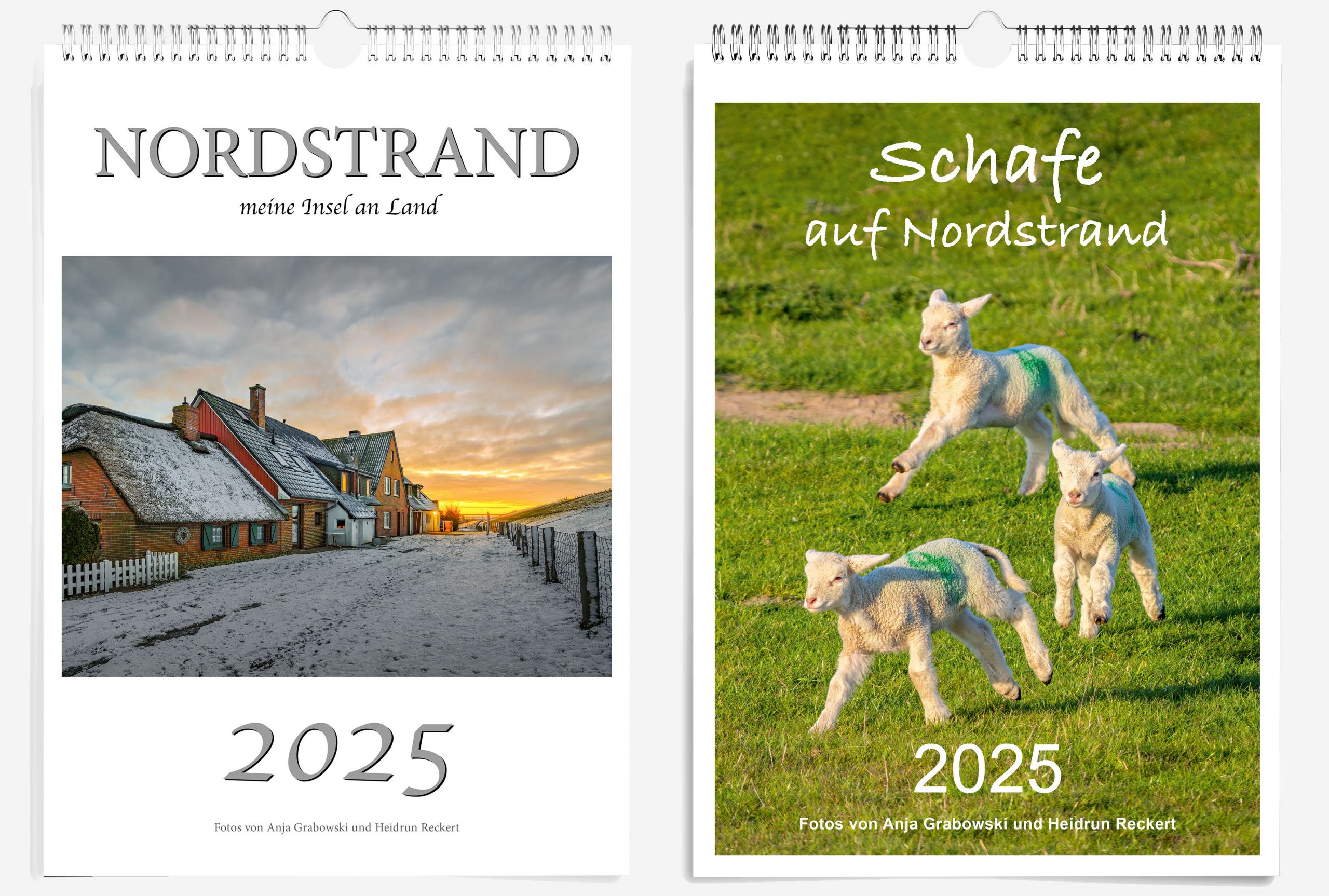 Kalender Nordstrand 2025 und Schafe 2025 Kalender Nordstrand 2025 und Schafe auf Nordstrand 2025